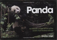 Panda: An Intimate Portrait Of One Of The World'S Most Elusive Characters артикул 7719c.