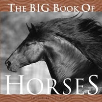 The Big Book of Horses артикул 7799c.